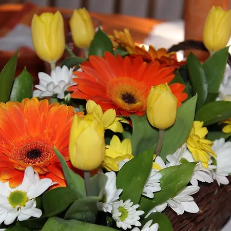 Orange House Chata Kladenske Rovne